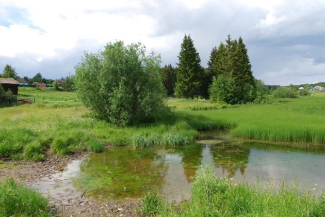 В этом году в Соликамском округе приступят к расчистке русла реки Козловка
